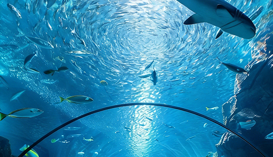 Aquarium & Large Fish Tank Sealing Applications