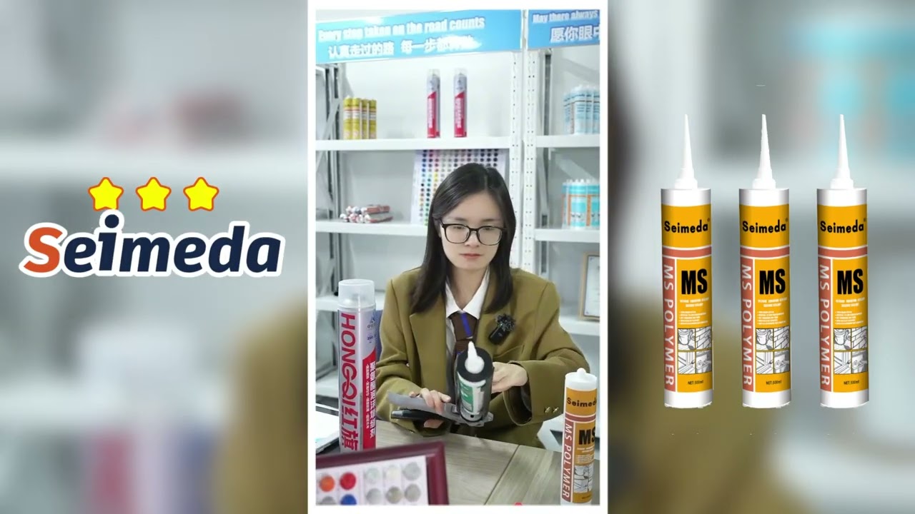 MS sealant introduction